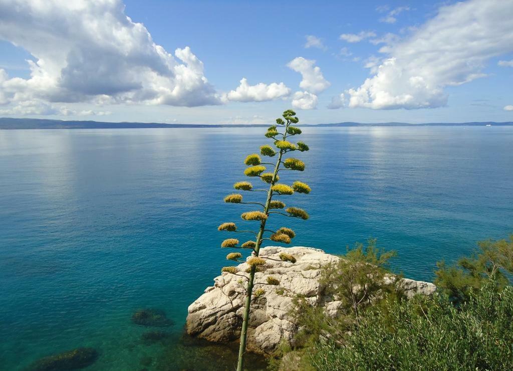 Apartment Epetij Split Kültér fotó